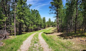 336 Middle Fork Rd, Devils Tower, WY 82714