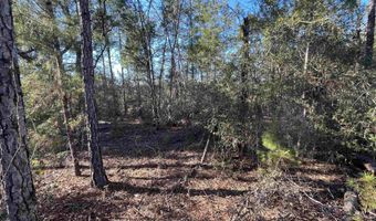 Deshutes Drive, Alford, FL 32420