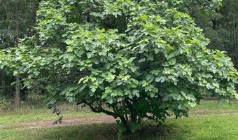 24415 NW 90TH Pl, Alachua, FL 32615