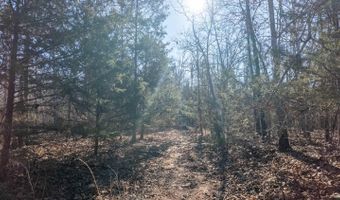 Tuska Drive, Ash Flat, AR 72513