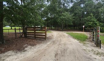 786 Blackberry Rd, Baconton, GA 31716