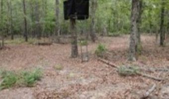 Double Pond Road, Blackville, SC 29817