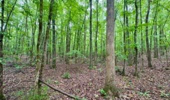 CR 265, Bruce, MS 38915