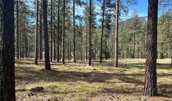 31760 HWY 10 W, Alberton, MT 59820