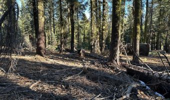 550 Cabbage Patch Log Rd, South Lake Tahoe, CA 95223