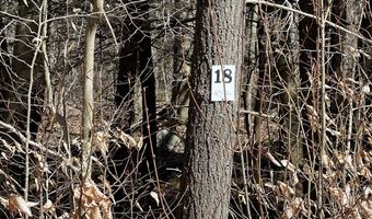 Skyline Ridge Rd lot 18, Becket, MA 01223