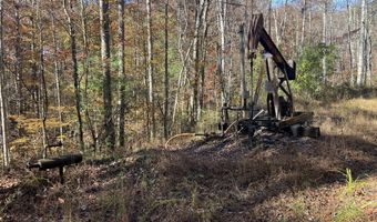 523 Honey Creek Loop Rd, Allardt, TN 38504