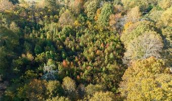 286 Lowry St, Ball Ground, GA 30107