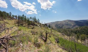 693 Cougar Dr, Bellvue, CO 80512