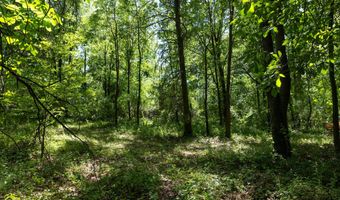 28 Mile Rd, Albion, MI 49224