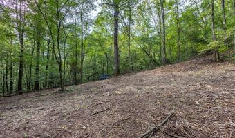 23 59 Ac Chestnut Flats Rd, Andrews, NC 28901