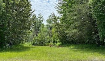 19 Mulberry Ln, Babbitt, MN 55706