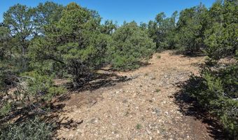 Robertos Lane, Arroyo Seco, NM 87514