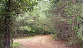 285 Co Rd 235, Arley, AL 35541