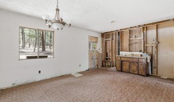 6 N CR 2148, Alpine, AZ 85920