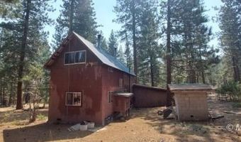 40 Acres Off 36N06, Adin, CA 96006