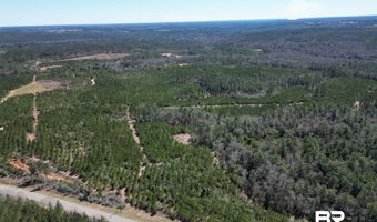 Robinsonville Road, Atmore, AL 36502