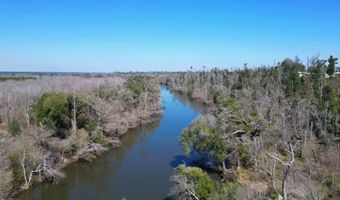 16570 NW Chipola Heights Rd, Altha, FL 32421