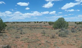 Tbd Ranch of the White Mountains, Concho, AZ 85924