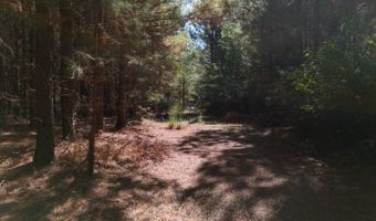 01 Goose Platter Rd, Batesburg, SC 29006