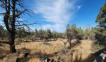 Chicken Hawk Lane Lot 28, Bonanza, OR 97623