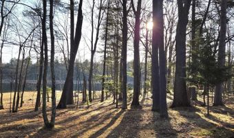 ON FARMING RD N lot 2, Arbor Vitae, WI 54568