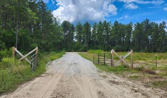38774 S Mccarrol Rd, Amite, LA 70422