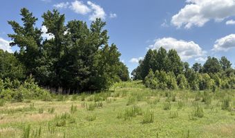 Beauty Hill Rd lot 4, Bethel Springs, TN 38315
