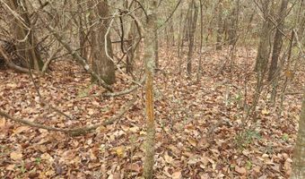 13962 Alabama Highway 95 N, Abbeville, AL 36310