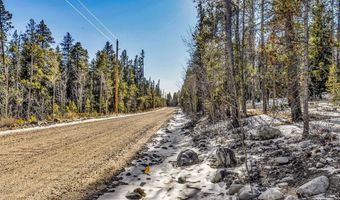 COUNTY ROAD 19 lot 0, Alma, CO 80420