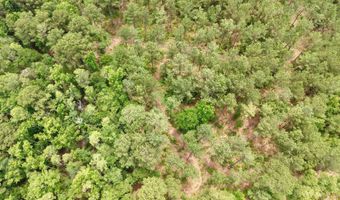 Fox Paw Court, Branchville, SC 29432