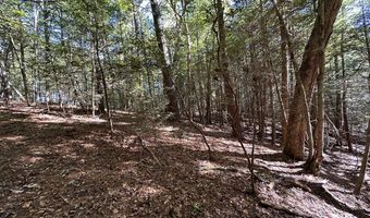 18 6 Acres Cave Branch Rd, Allardt, TN 38504