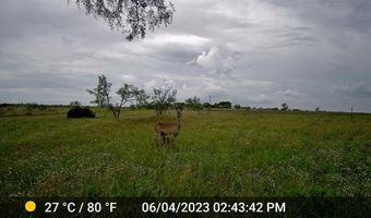 2245 CR 619, Pottsville, TX 76565