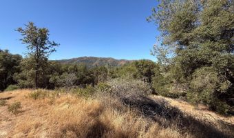 41902 Woodward Way, Ahwahnee, CA 93601