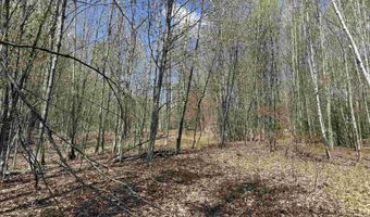 2527 Bent Hill Rd, Braintree, VT 05060