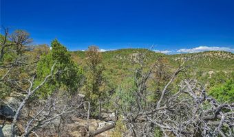 Rikki Rowdy Place, Aguilar, CO 81020