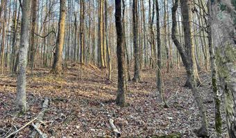 00007 SPRINGHOLLOW Rd Lot 7, Ashville, AL 35953