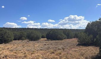 343 344 CR 8295, Concho, AZ 85924