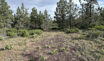 Porpoise Lane Lot 29, Bonanza, OR 97623