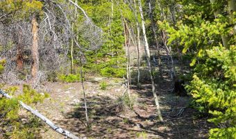 715 Lewsader Rd Lot 0, Alma, CO 80420