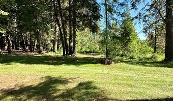 1321 W Mountain Rd, Cascade, ID 83611