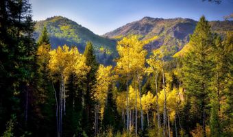 9380 E Kessler Ln, Brighton, UT 84121