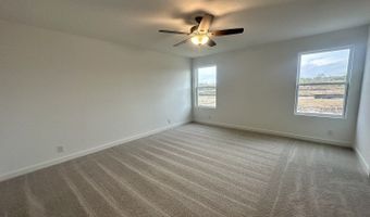 190 Peeps Ct, Adkins, TX 78101