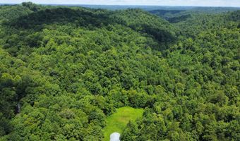00 Tbd Long Shoal Br, Beattyville, KY 41311