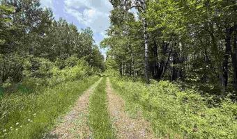Samuelson Road-Sec22, Angora, MN 55703