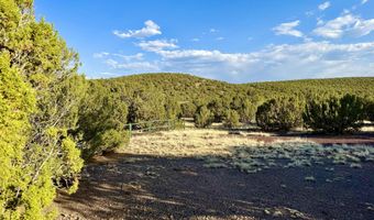 37 Co Rd N8174 10.1 Acres, Concho, AZ 85924