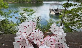 767 BENDABOUT Ln, Arley, AL 35541