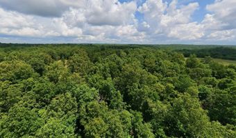 County Road 200, Alton, MO 65606