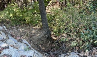 Timberlake Drive 391E25 132, Ashland, OR 97520