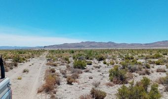 APN # 007-091-59, Fallon, NV 89406